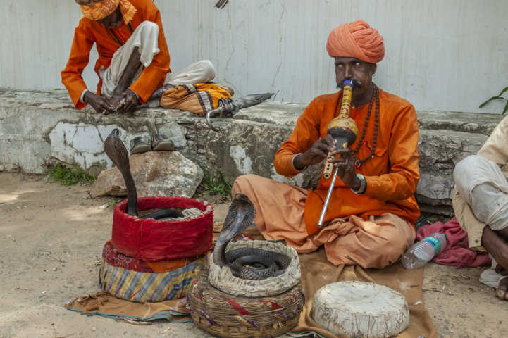 26 - India - Pushkar - encantador de serpientes
